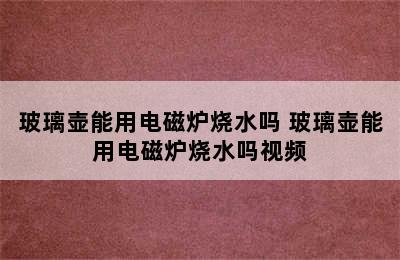 玻璃壶能用电磁炉烧水吗 玻璃壶能用电磁炉烧水吗视频